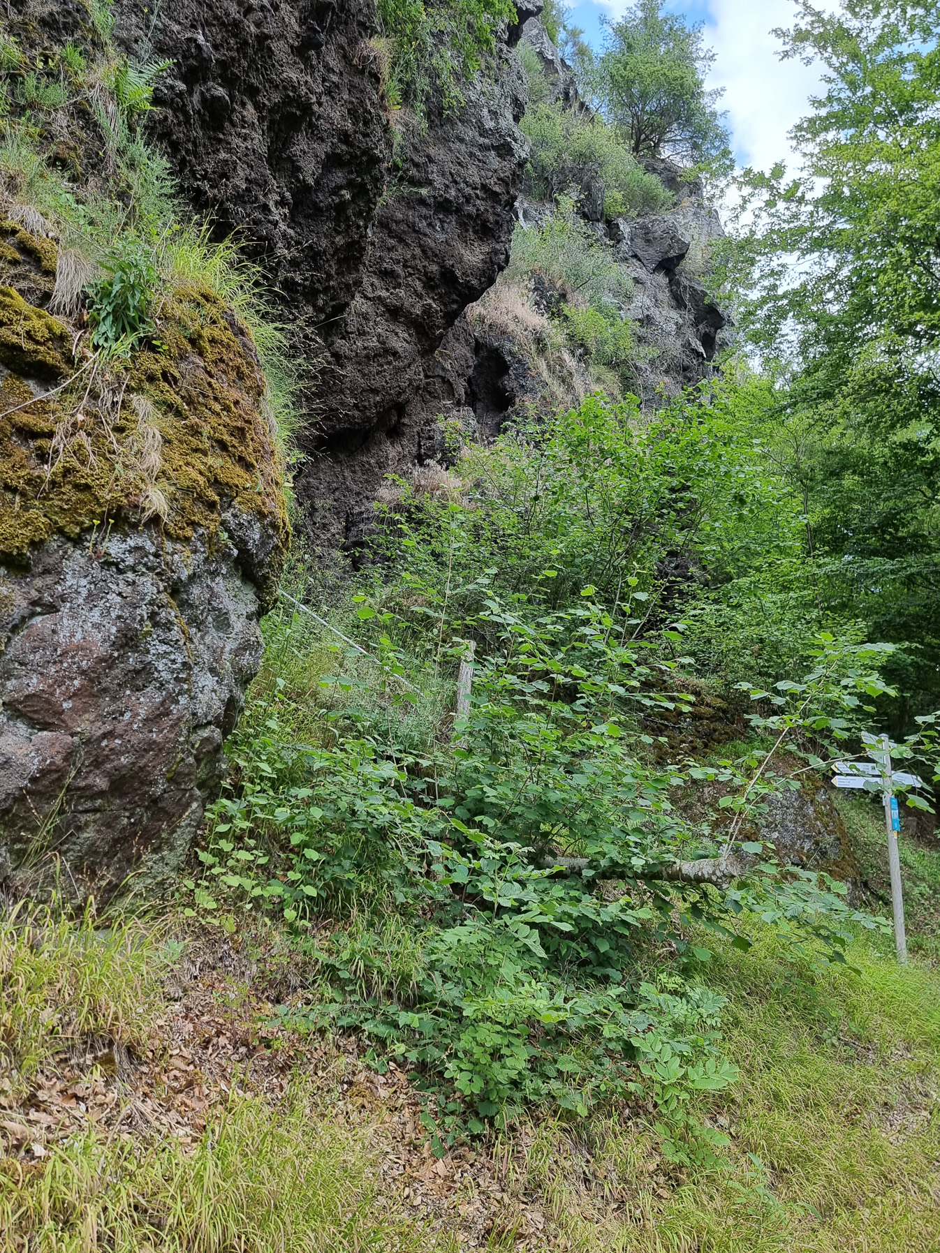 Am Fuß der Falkenlay